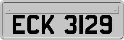 ECK3129