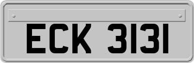 ECK3131