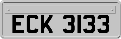 ECK3133