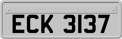 ECK3137