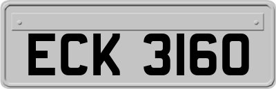ECK3160