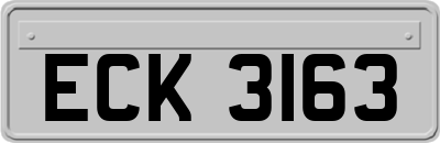 ECK3163