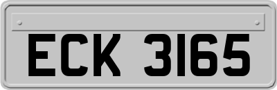 ECK3165