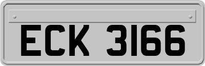 ECK3166