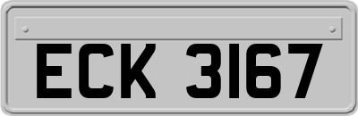 ECK3167