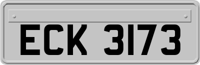 ECK3173