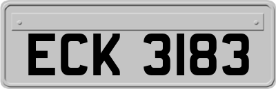 ECK3183