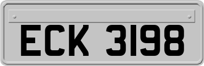 ECK3198