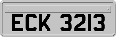 ECK3213