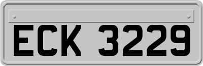 ECK3229