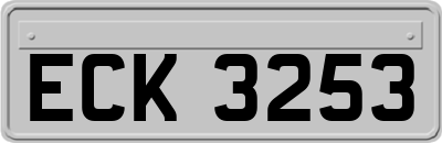 ECK3253