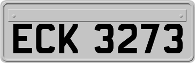 ECK3273