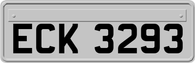 ECK3293