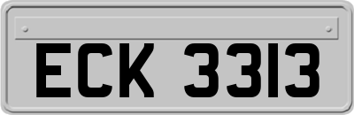 ECK3313
