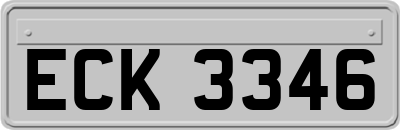 ECK3346