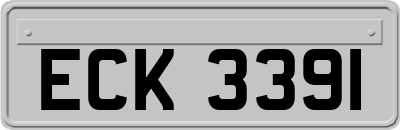 ECK3391