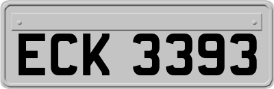 ECK3393