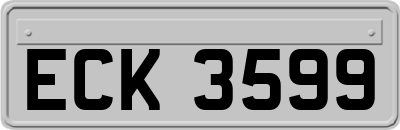 ECK3599