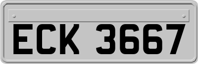 ECK3667