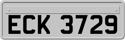 ECK3729