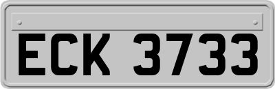 ECK3733