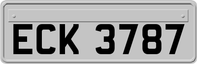 ECK3787