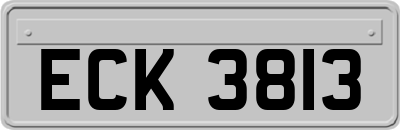 ECK3813