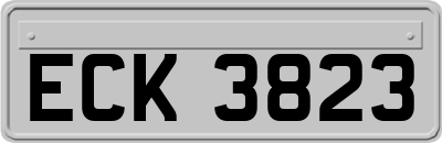 ECK3823