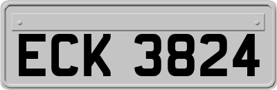 ECK3824