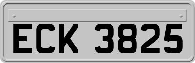 ECK3825