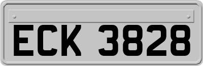 ECK3828