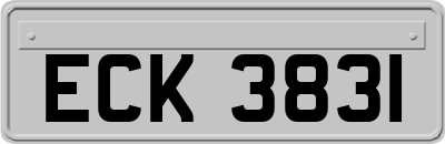ECK3831