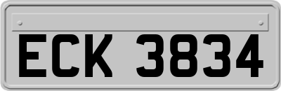 ECK3834