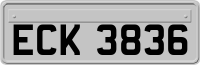 ECK3836