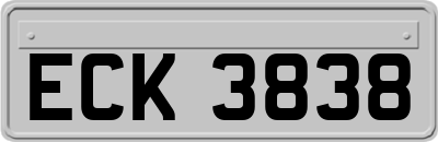 ECK3838