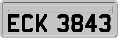 ECK3843