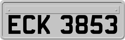 ECK3853