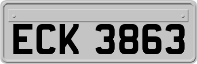 ECK3863