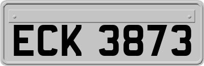 ECK3873