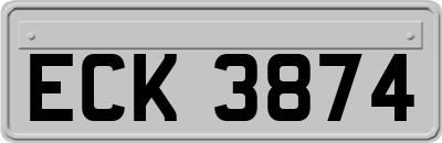 ECK3874