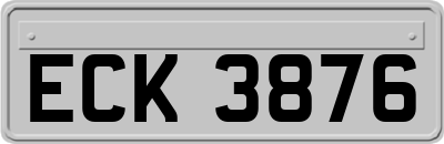 ECK3876