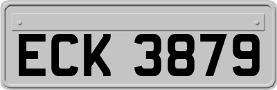 ECK3879