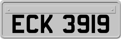 ECK3919