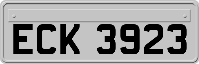 ECK3923