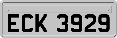 ECK3929
