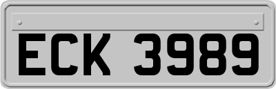 ECK3989