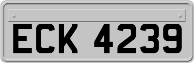 ECK4239