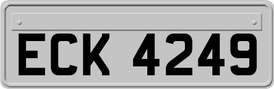 ECK4249