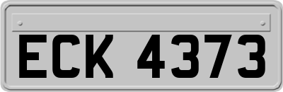 ECK4373