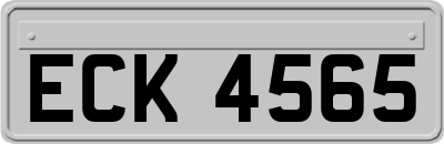 ECK4565